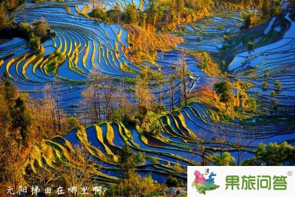 元陽梯田風景